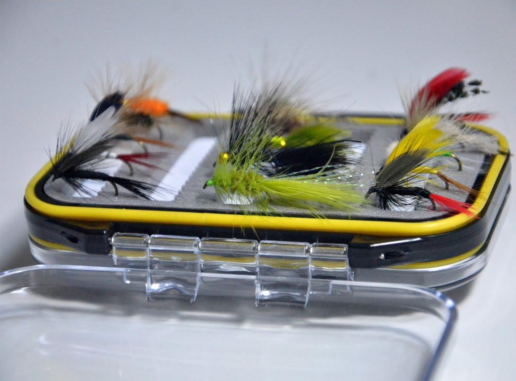 Outdoor Planet Double Side Waterproof Pocketed Fly Box + Assorted Trout Fly Fishing Lure Pack of 15 Pieces Fly Lure : Sports & Outdoors