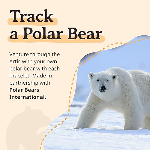 Miniatura 6 de Fahlo Pulsera de seguimiento de oso polar Rastrea el viaje de un oso polar real Apoya la conservación de la vida silvestre Elástica, talla única