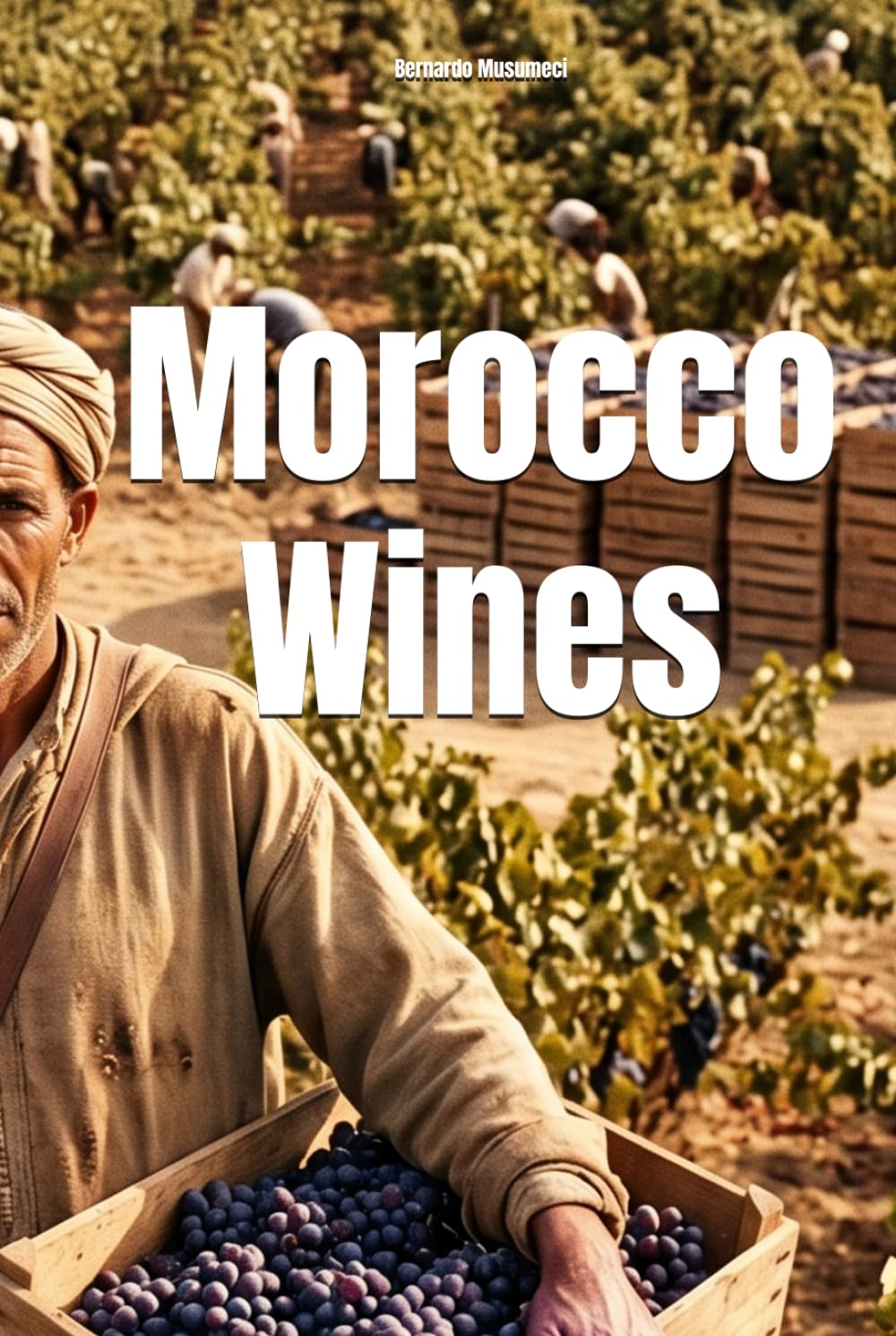 Morocco Wines (Wines of the World)
