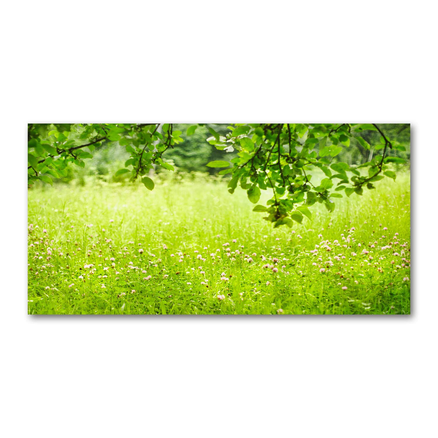 Impression sur verre d'art tableau photo panoramique prairie verte 120x60