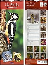 2026 Super Slim Month to View Spiral Bound Hanging Wall Calendar Home Office (Uk Birds)