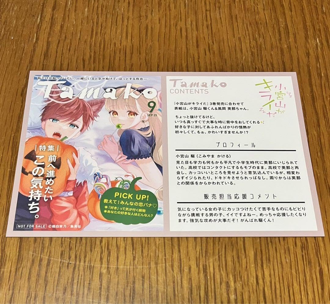 キミガシネ sideジョー TSUTAYA 特典 ポストカード