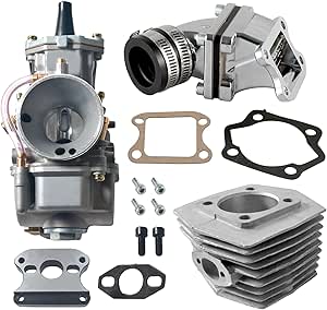 Amazon.com: Dio reed valve cylinder PWK24 Carburetor Kit For 48cc 66cc ...