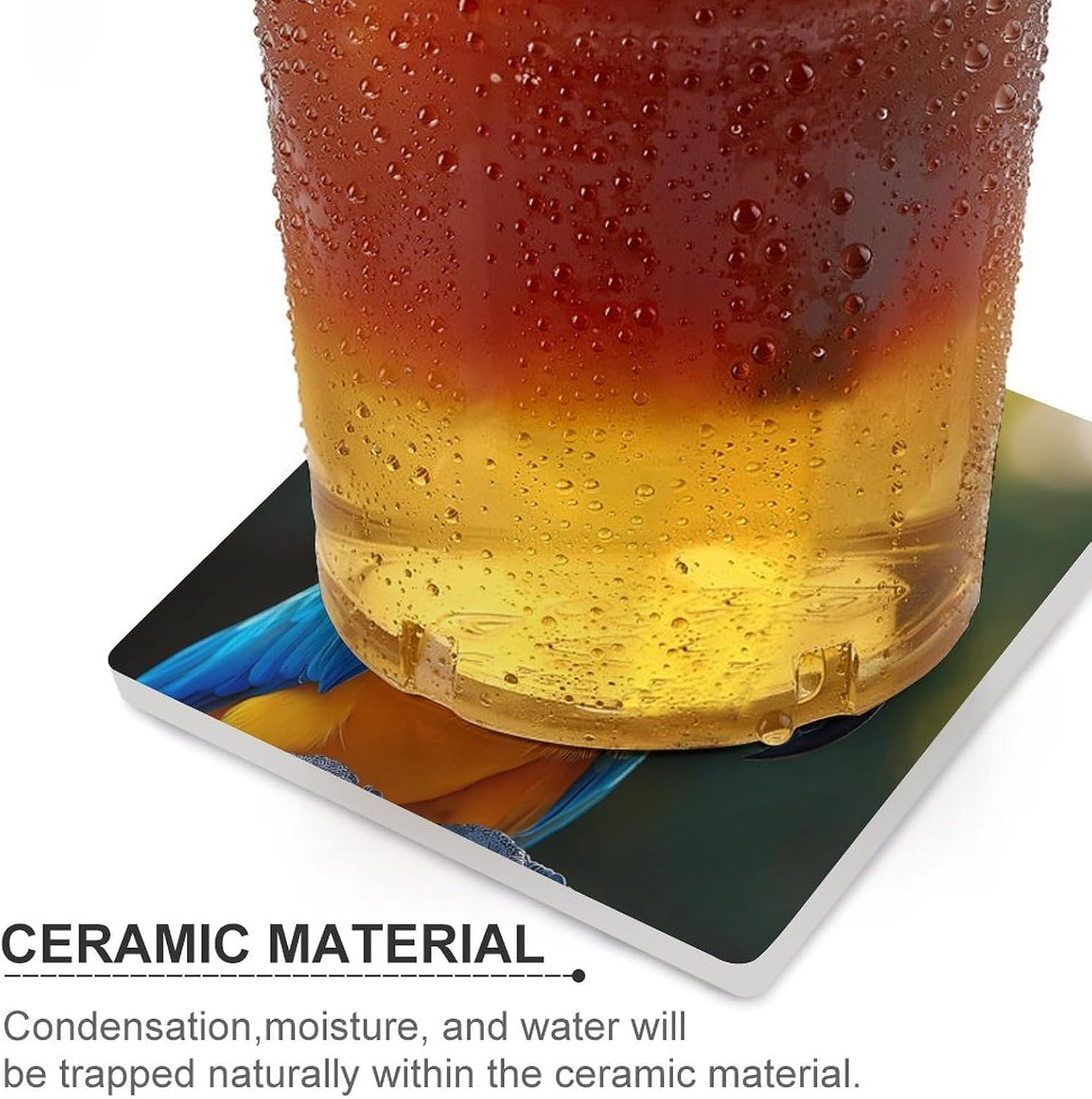 Monkey Riding on Parrot Funny Ceramic Coasters for Drink Absorbent Cup Holders Tabletop Protection