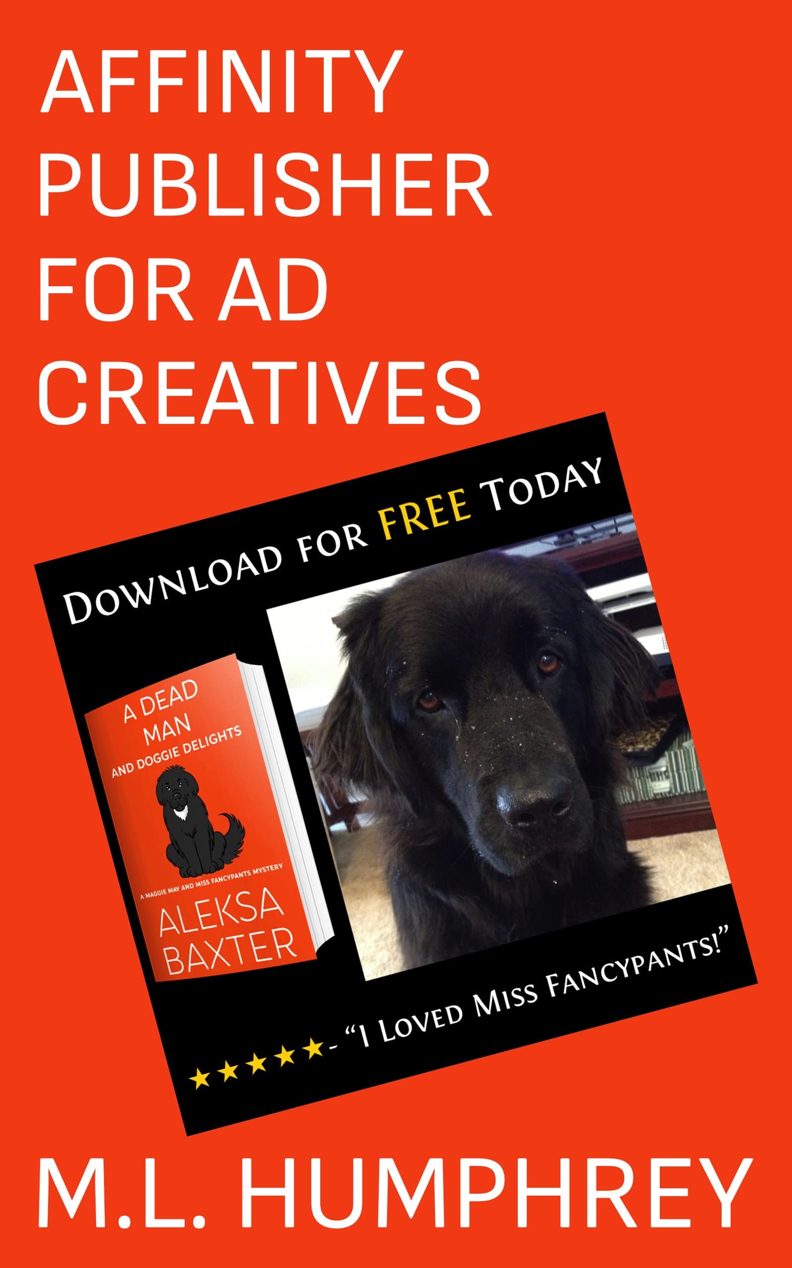 Affinity Publisher for Ad Creatives (Affinity Publisher for Self-Publishing Book 2)