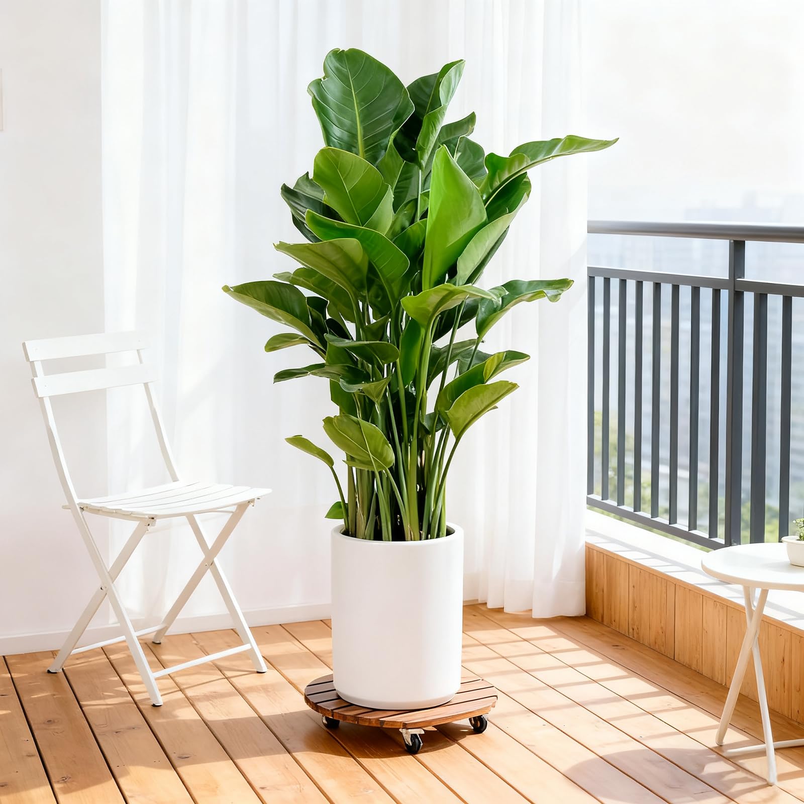 Juego de 3 Ruedas para Plantas de Madera Redondas 30 cm - Capacidad 150 kg con Frenos - Soporte para Macetas Interior Exterior Jardín Terraza Balcón