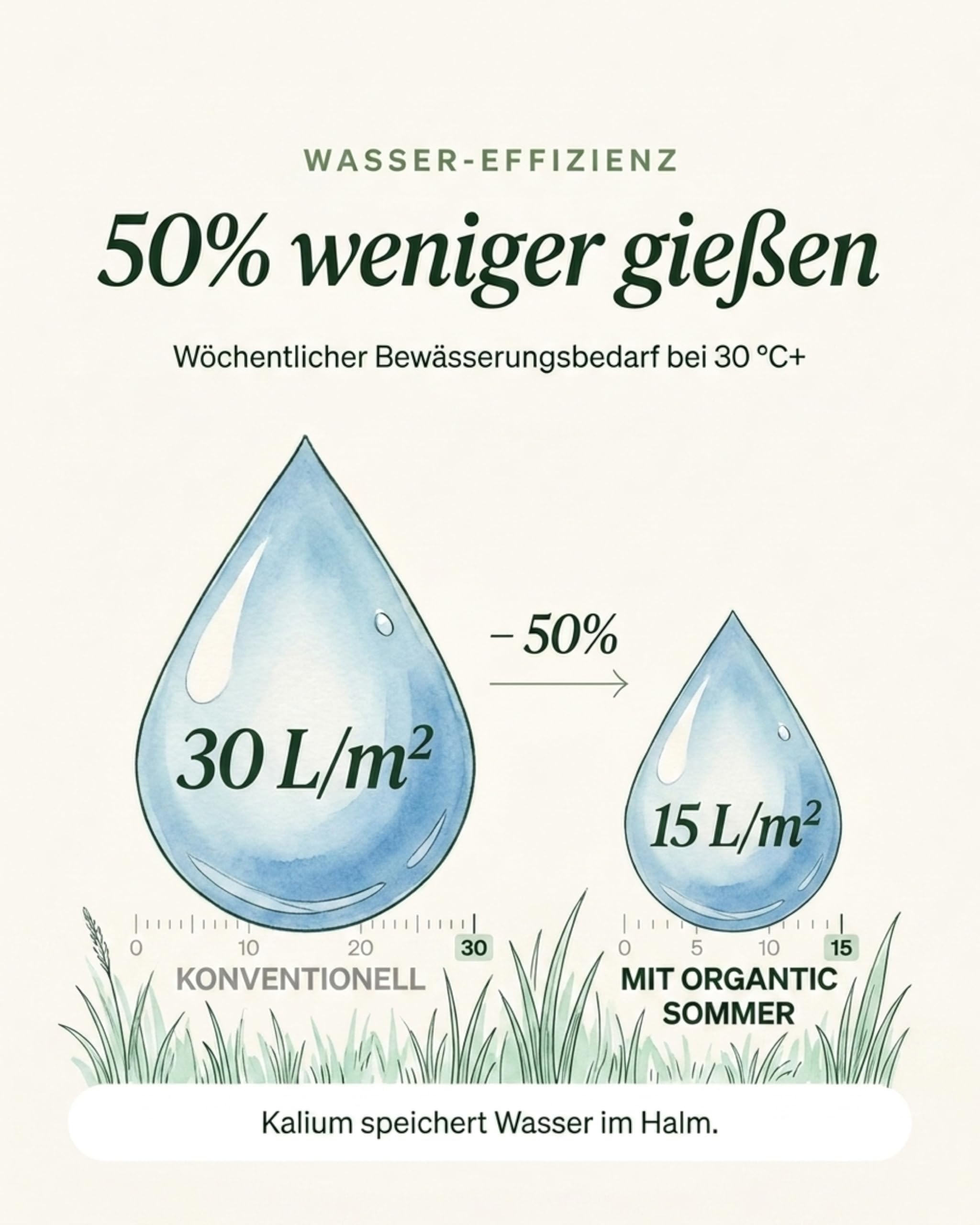 Organtic Sommerrasendünger 20kg, Dünger für sattgrünen Rasen, bekämpft Moos, für Streuwagen