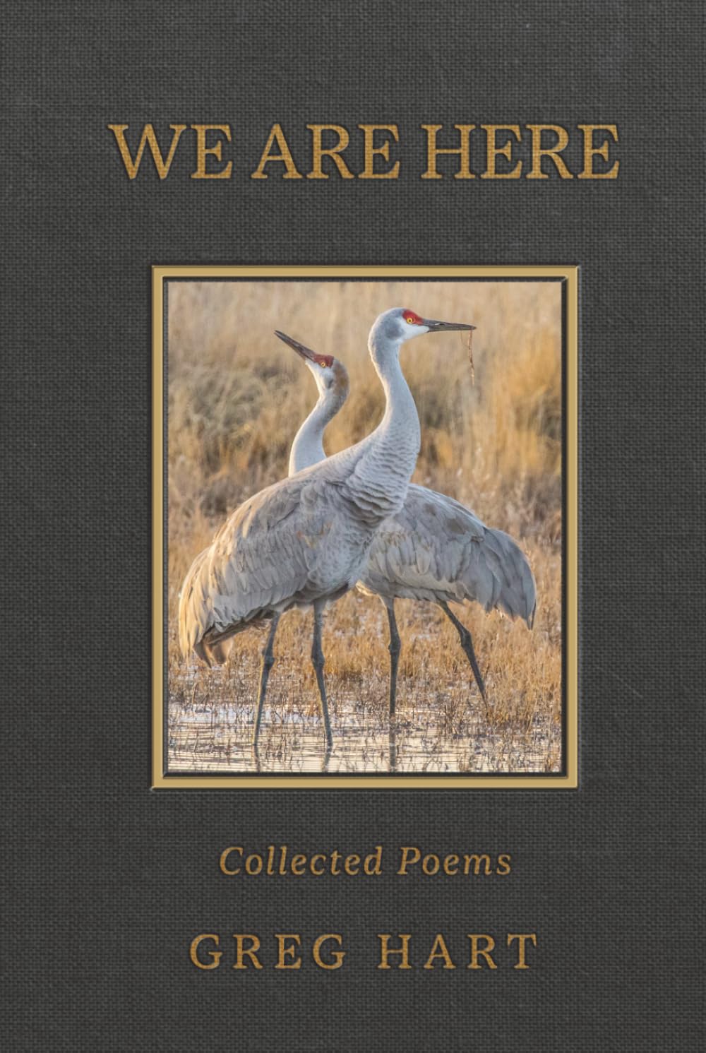 We Are Here: Collected Poems