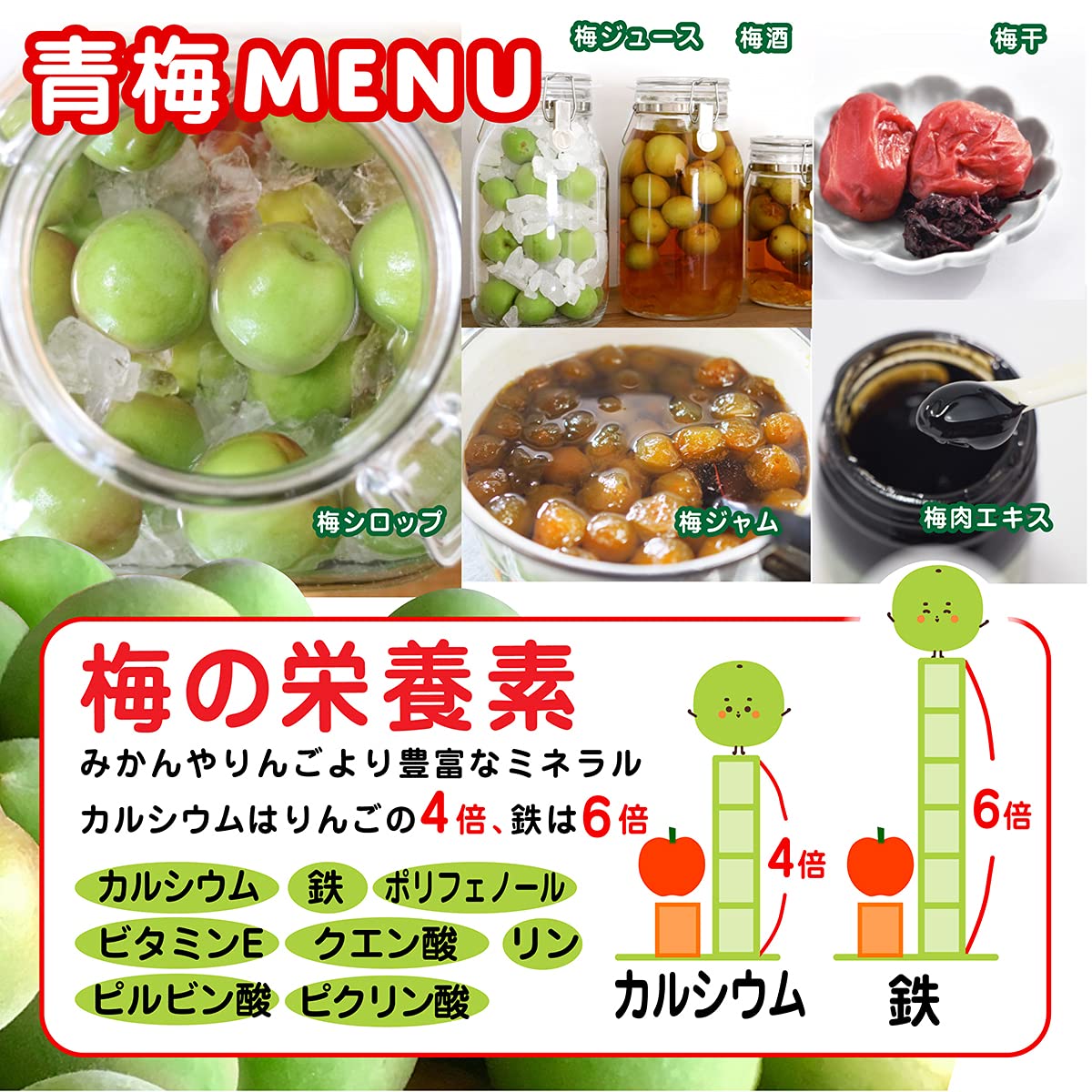 Amazon | 紀州南高梅 青梅 和歌山県産 南高梅 野菜ソムリエ監修 等級赤 