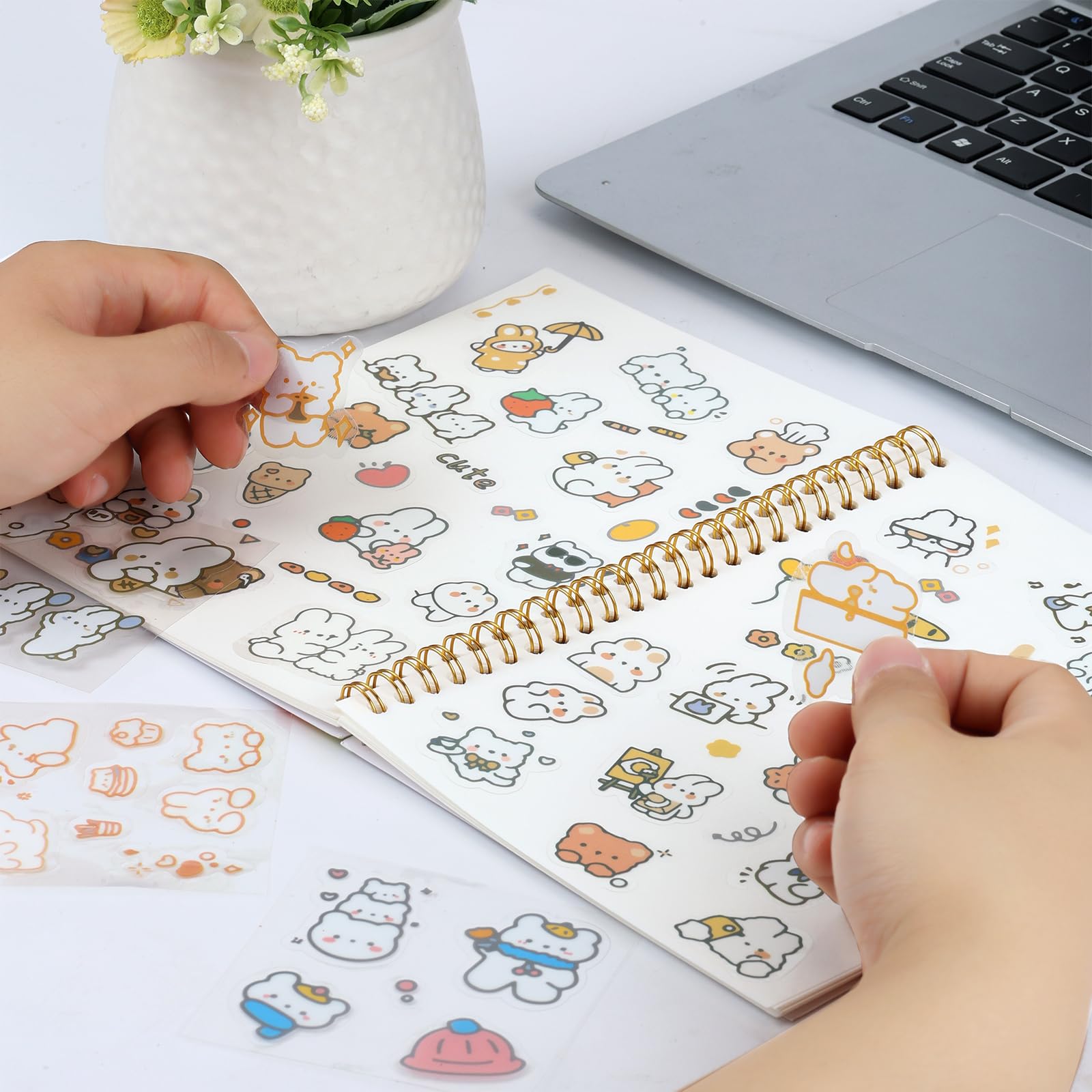 Sticker Book Collecting Reusable Collecting Album Blank Sticker Storage ...