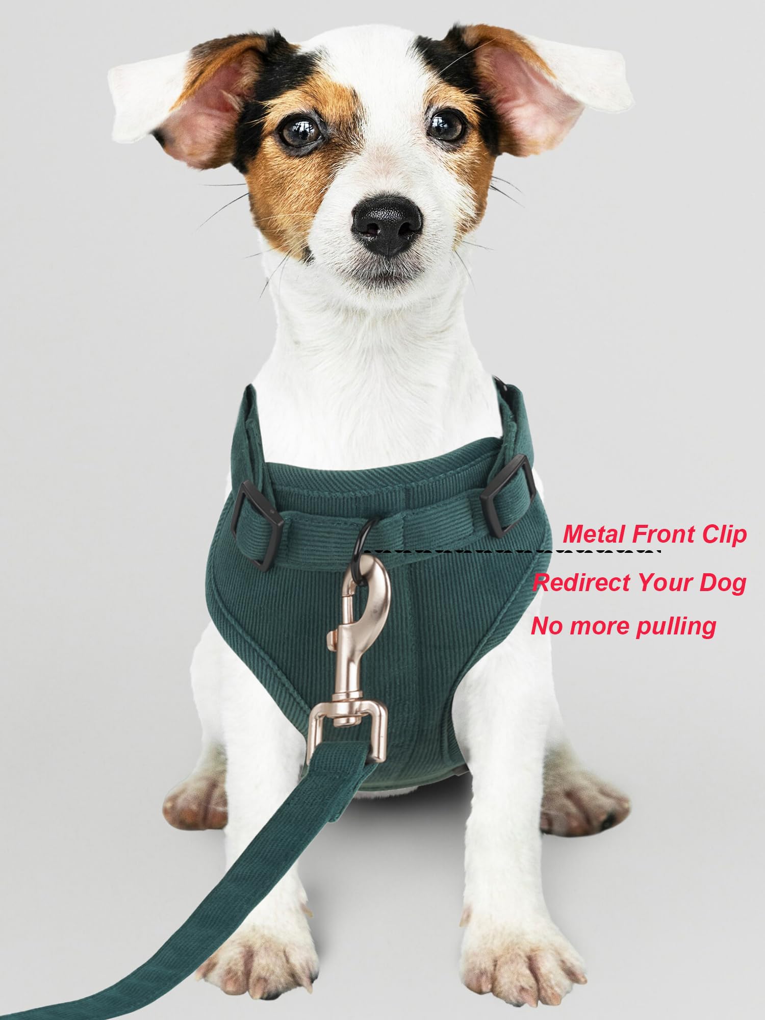 YUDOTE Dog Harness and Lead Set,Soft Corduroy and Mesh Padded Vest Harnesses with 1.5m Leash for Small Dogs with sensitive skin Green - Image 4