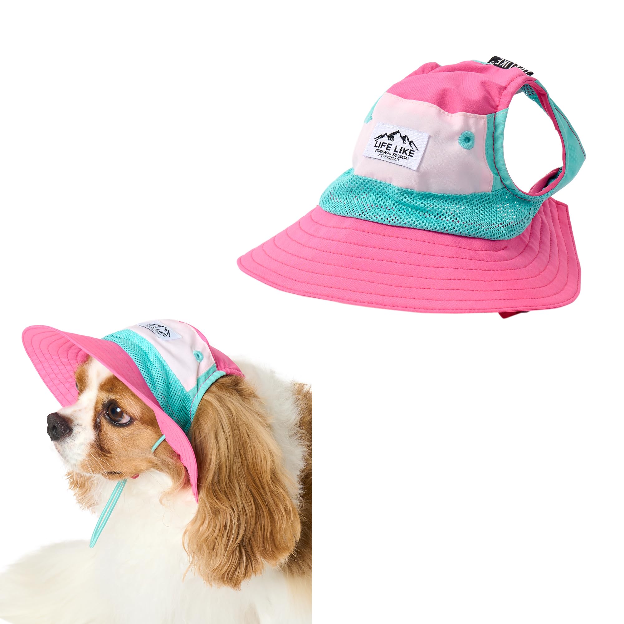 Amazon | 【LIFELIKE公式】ビタミンカラーハットS M L 被り物 犬