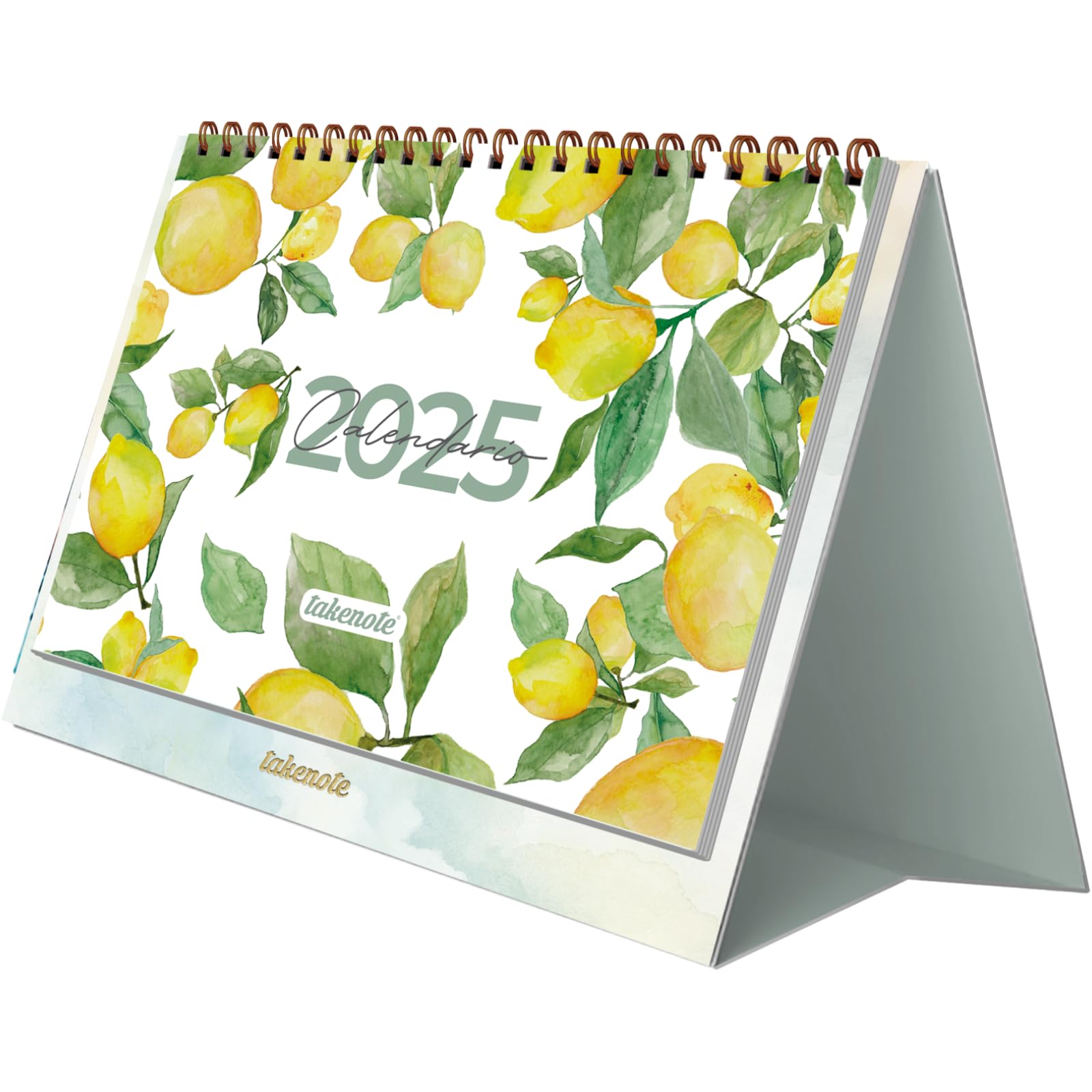 Desktop Calendar 2025 - Monthly January to December, Spanish and English, Size 21.5 x 15.5 cm, With Monthly and Annual Planners, Double Wire-o Binding - Takenote Agatha