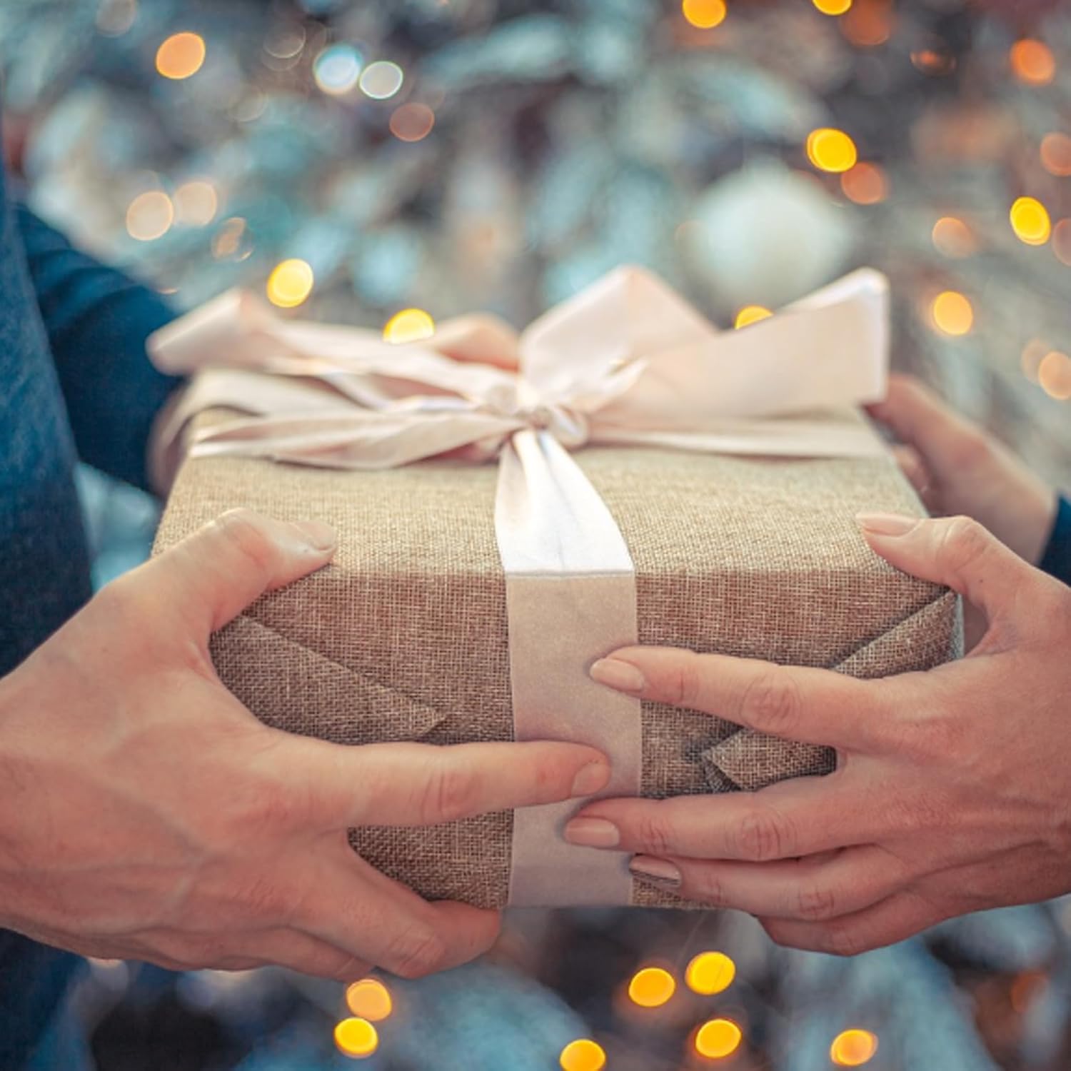 Hand Ascender Rock Climbing, Arborist Rappelling Gear Equipment Rope Clamp, Left/Right Hand, for 8-13mm Rope