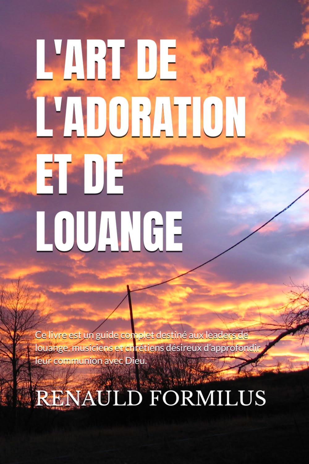 L'ART DE L'ADORATION ET DE LOUANGE: Ce livre est un guide complet destiné aux leaders de louange, musiciens et chrétiens désireux d’approfondir leur communion avec Dieu.
