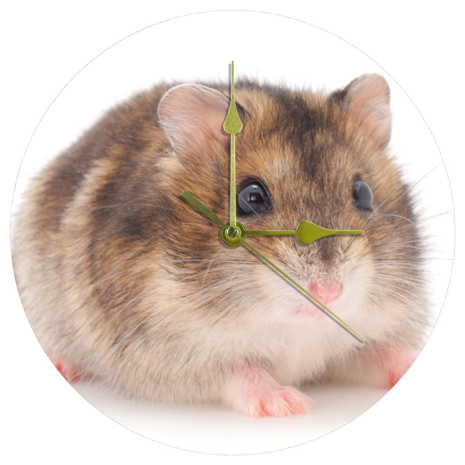 Horloge murale Hamster en acrylique de 25 cm avec un mouvement à quartz