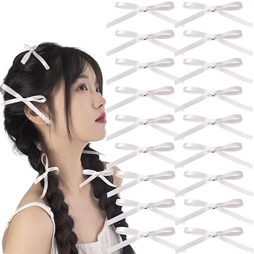 20 clips de lazos pequeños con cinta, cola larga, soporte para cola de caballo, pasadores para el cabello, accesorios para el cabello para mujeres y