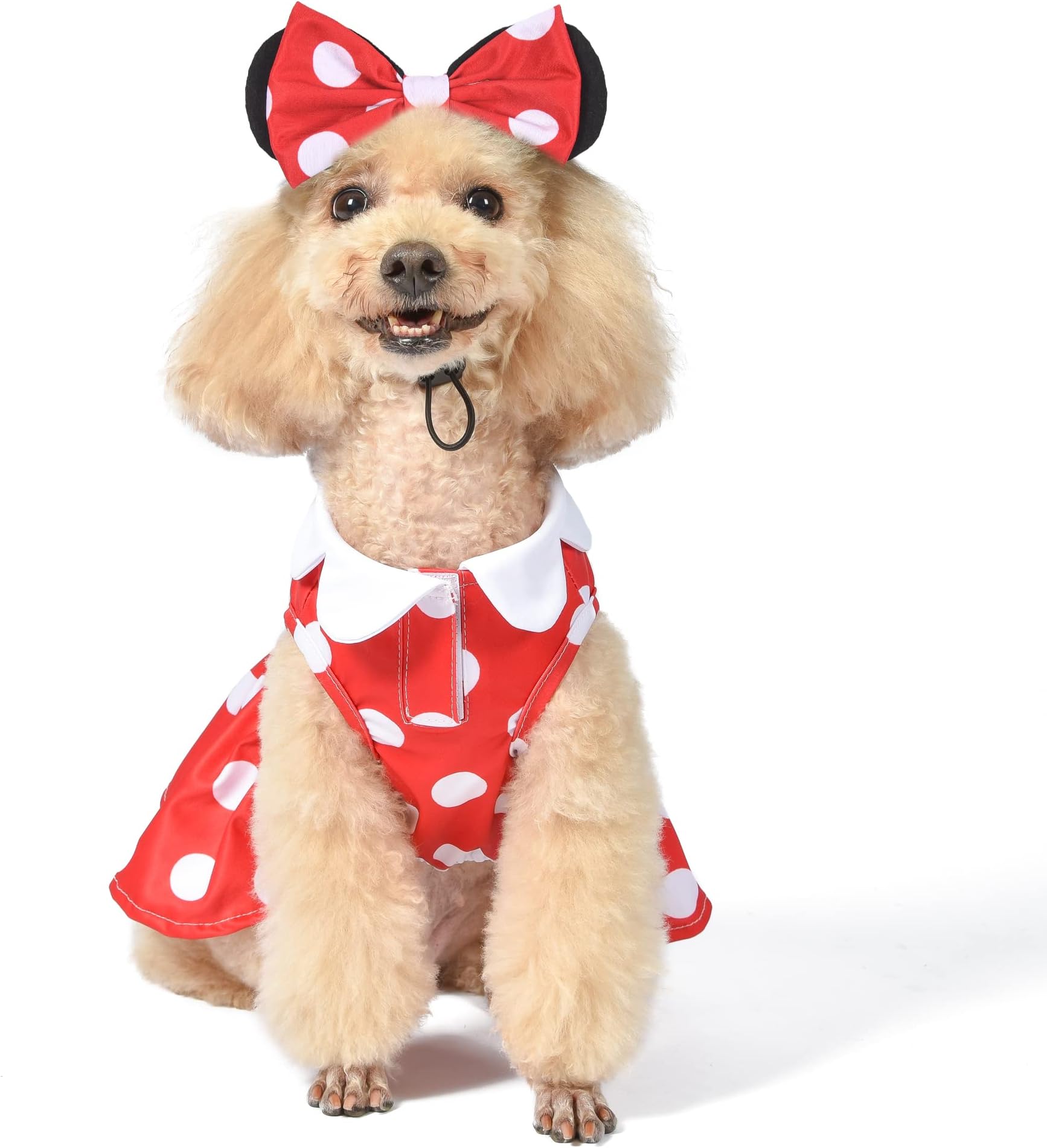 Disney for Pets Minnie Mouse Halloween Costume for Dogs