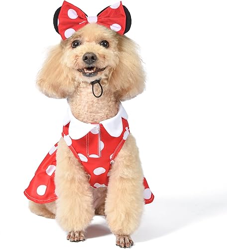 Disney for Pets Disfraz de Halloween de Minnie Mouse para perros, grande, disfraz de Halloween de Disney, divertidos disfraces de mascotas Disfraz
