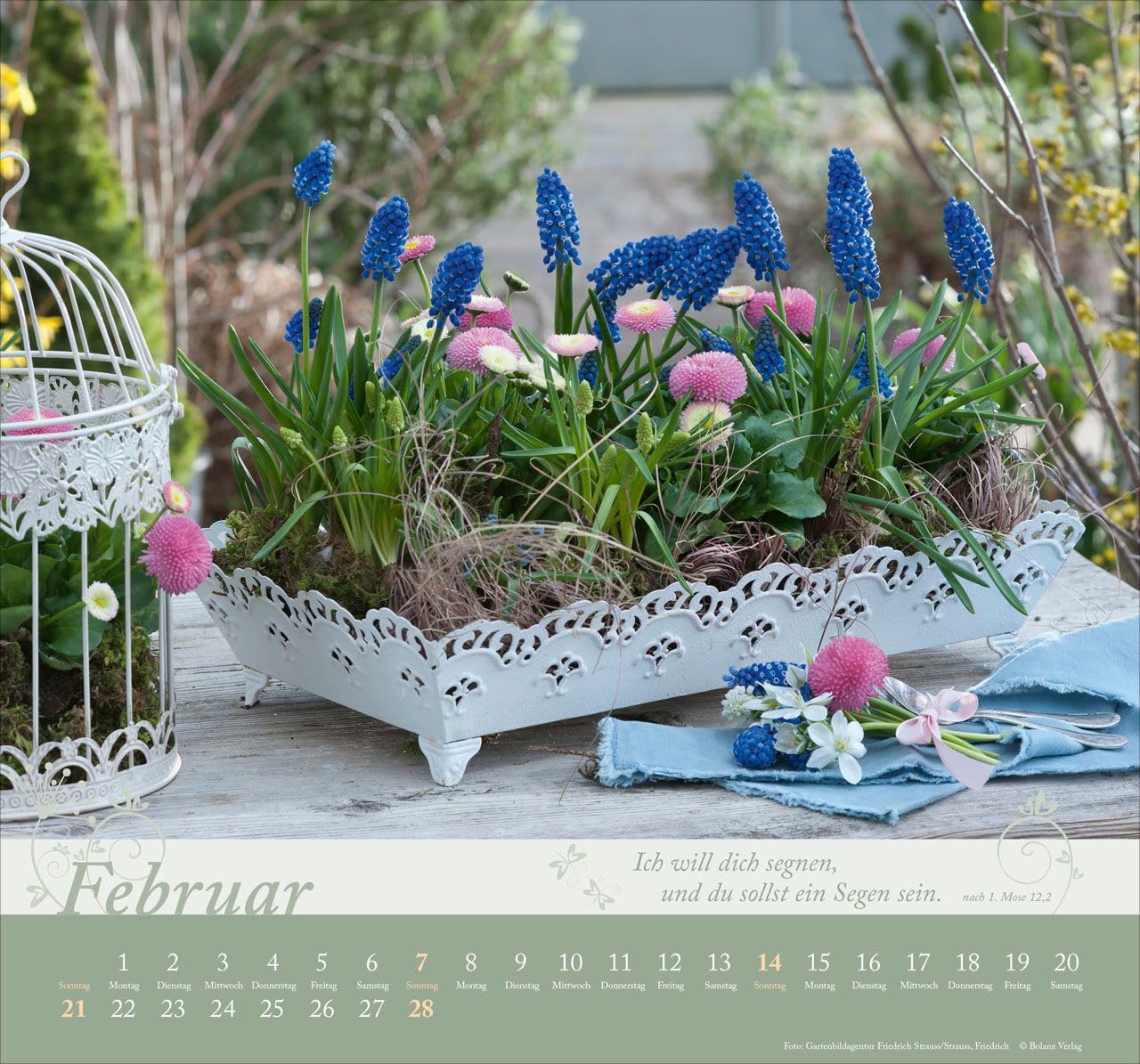 Im Garten zuhause 2027 – Wandkalender