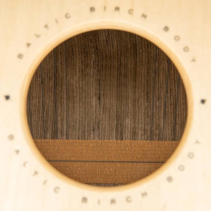 Meinl カホン WCP100MB アンプ出力可 WCP100MH_web_main.webp