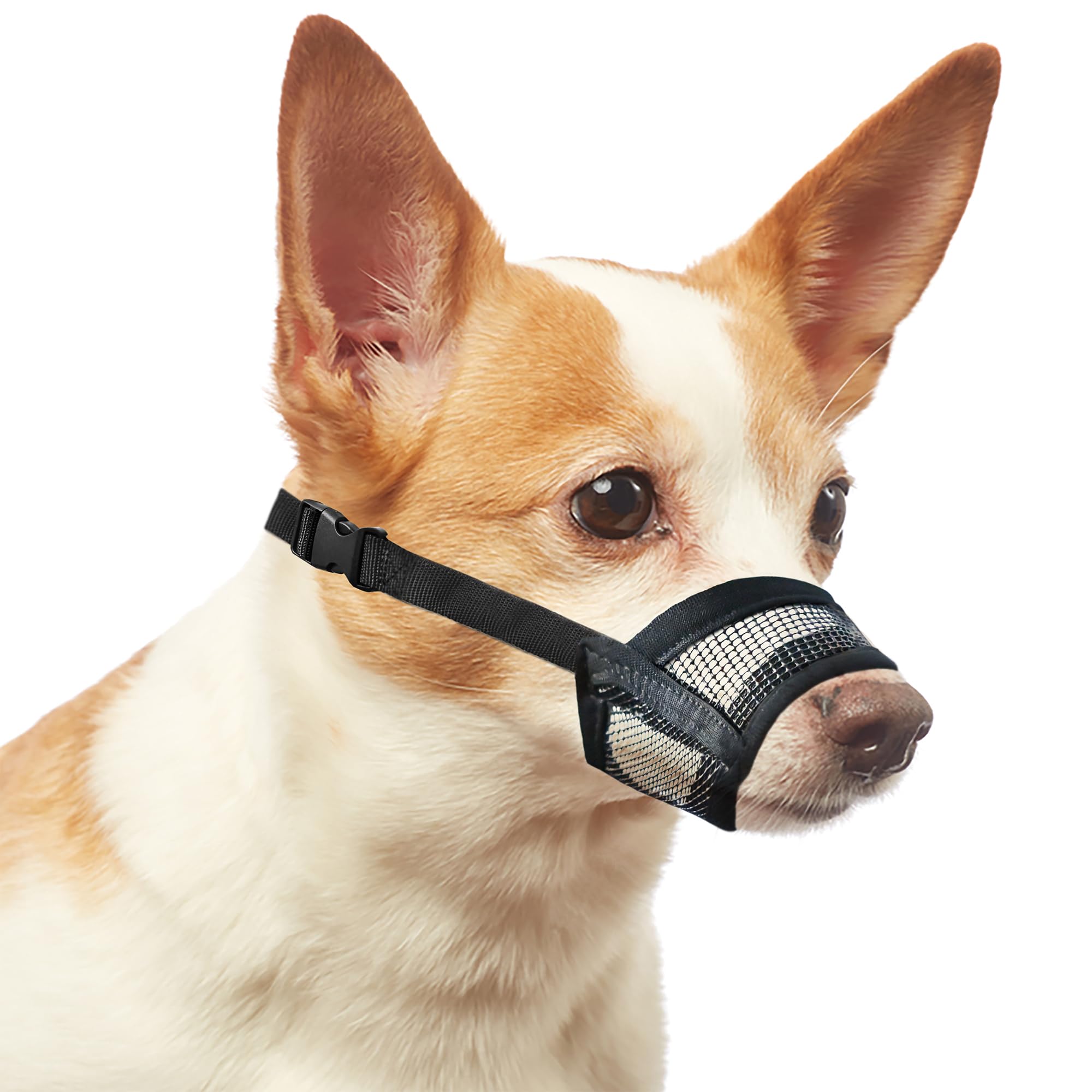 Dog Muzzle for Small Dogs – Soft Air Mesh Muzzle for Small Dog | Perfect for Barking and Biting Prevention