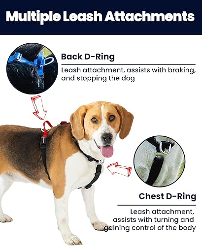 Miniatura 4 de Arnés para perro fácil de caminar y entrenar, sin tirones, arnés no restrictivo con hebilla para el cuello, correas de nailon, anillos en D de