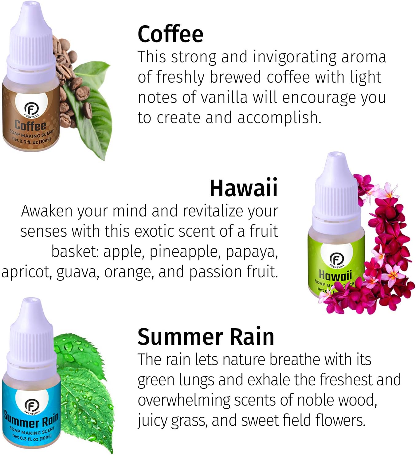 Soap Making Scents - Set of 12 Premium Grade Fragrance Oils - Soap Making Supplies - Fragrance Oil for Aroma Beads - Bath Bomb Scents – Slime Scents – Fragrance Oils for Soap Making