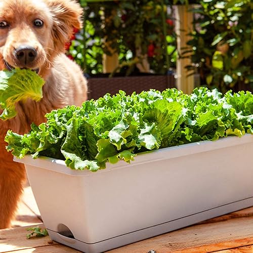 Miniatura 8 de ERINGOGO Maceta de barandilla de 20 pulgadas con bandeja de drenaje, maceta grande para ventana, macetas, macetas largas para interiores y