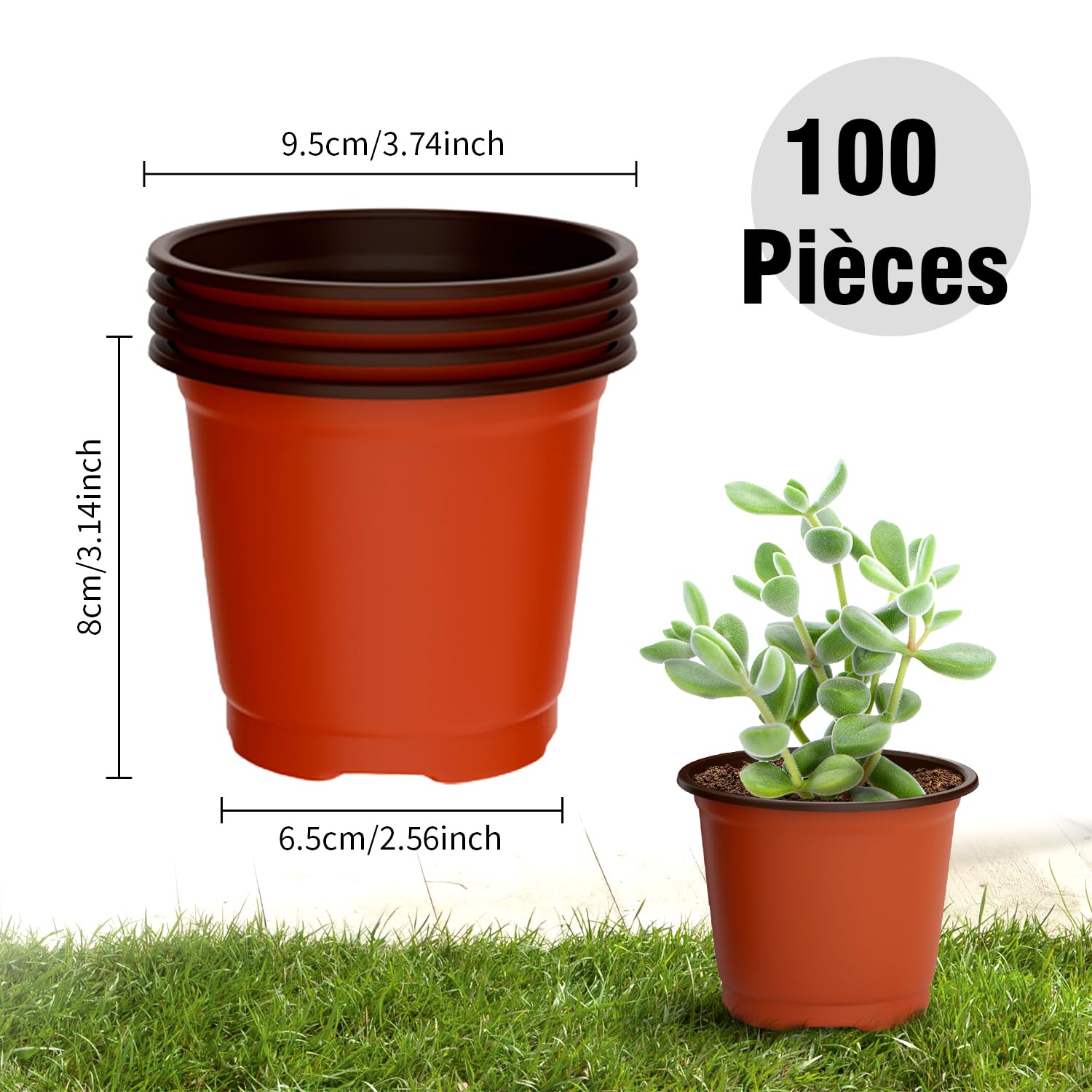 Pots Jardinage Avec Drainage 100 Pots De Semis En Plastique - Godets De Repiquage Avec Trou De Drainage - Pour Plantes, Fleurs Et Légumes Godets Repiquage 10cm