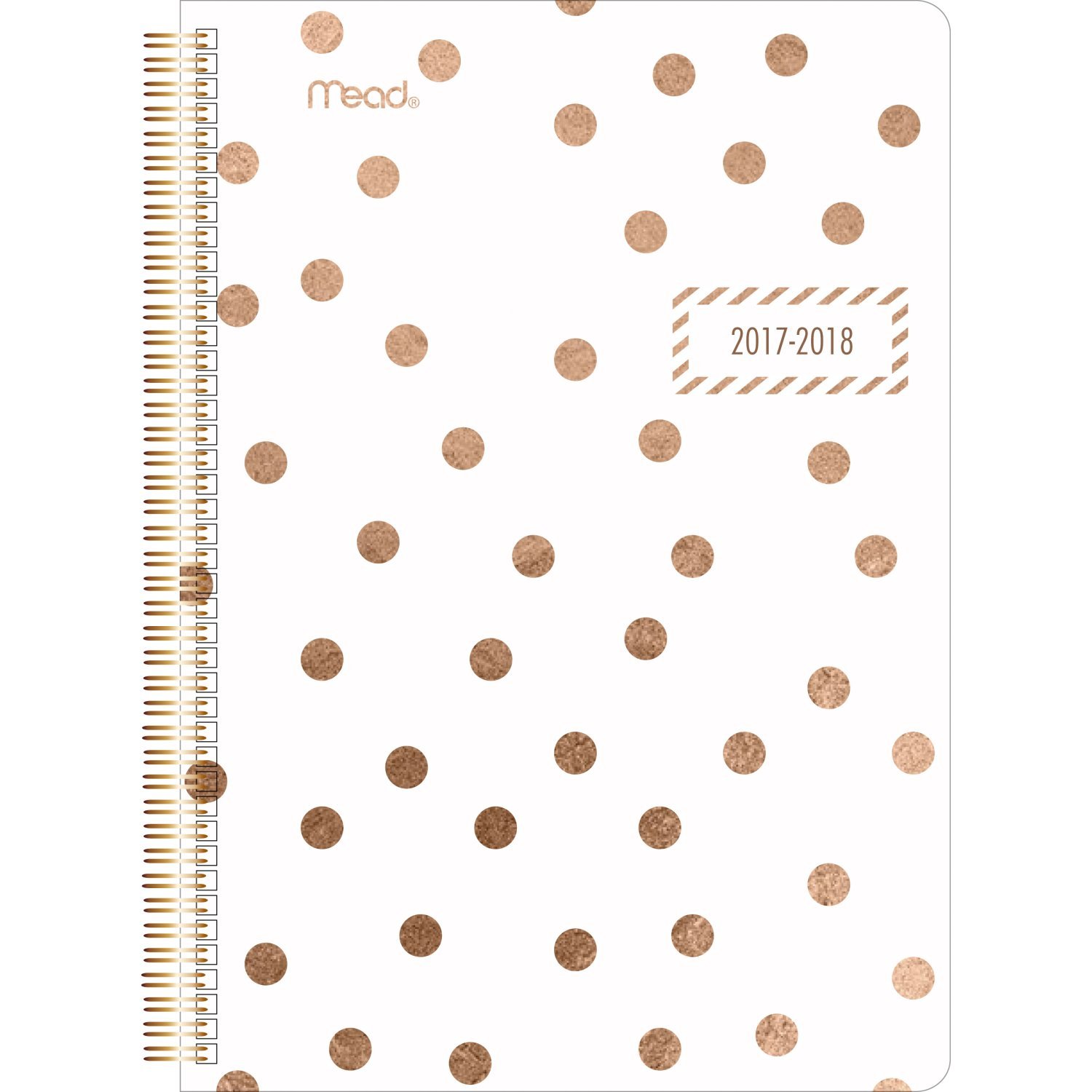 Mead Academic Weekly/Monthly Planner, July 2017 June 2018, 51/2" x 8