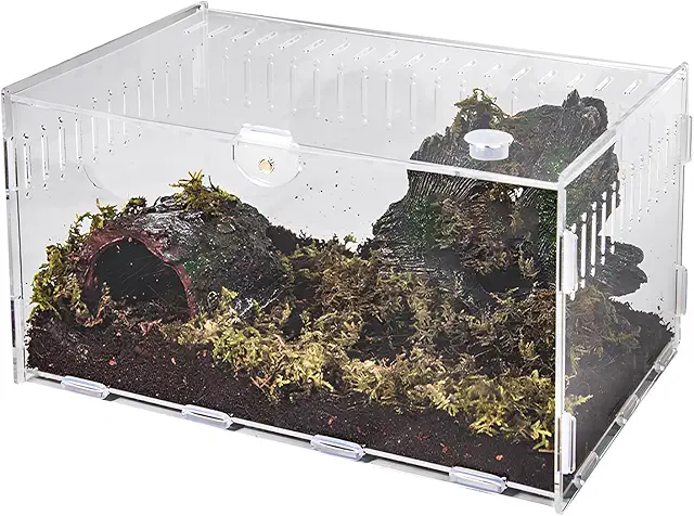 Terrario per Insetti in Acrilico Trasparente 20×12×12 cm - Mini Ecosistema