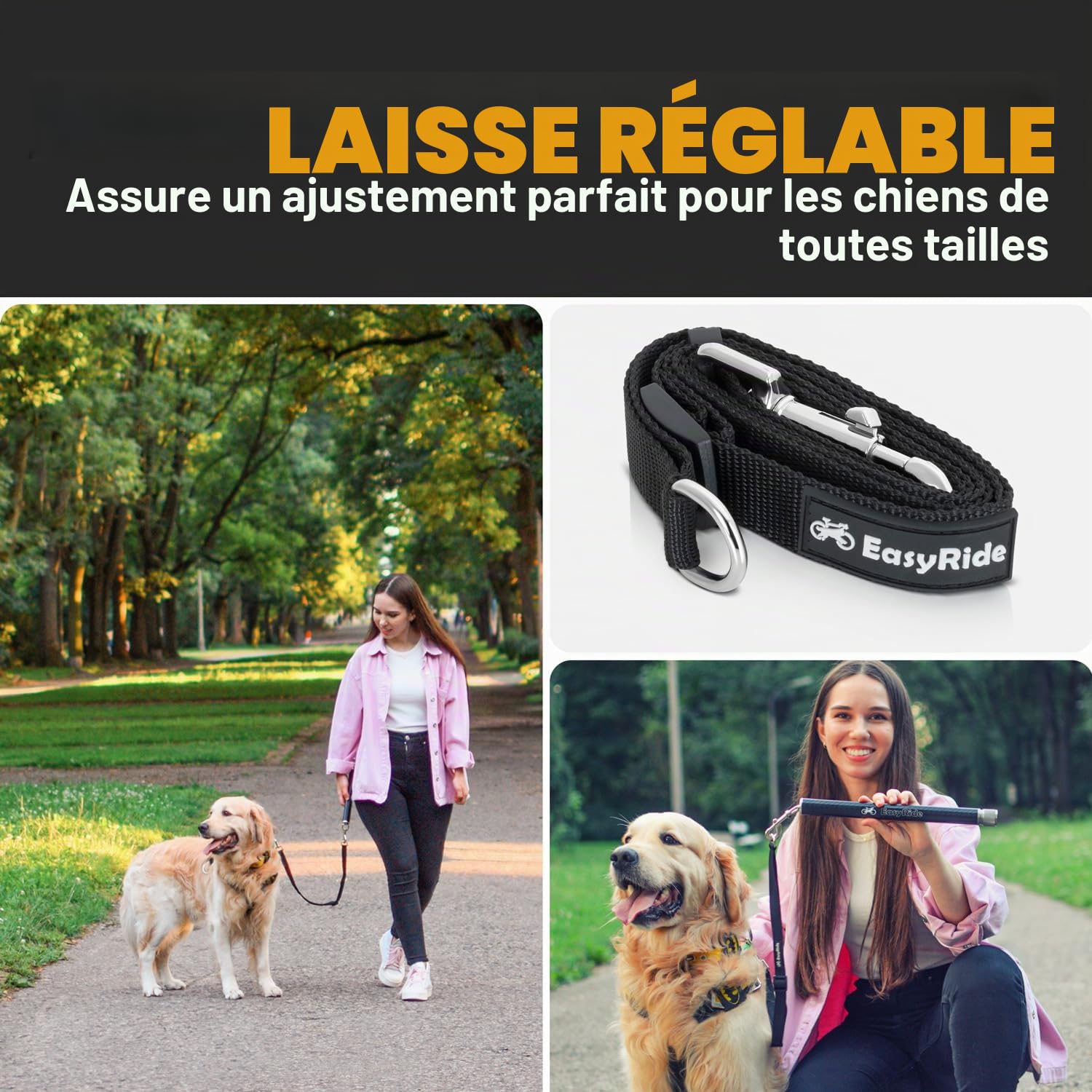 V2.0-Laisse de vélo pour Chien rotative à 180° avec amortisseurs et mécanisme d'attache Rapide | Fibre de Carbone (Noire)