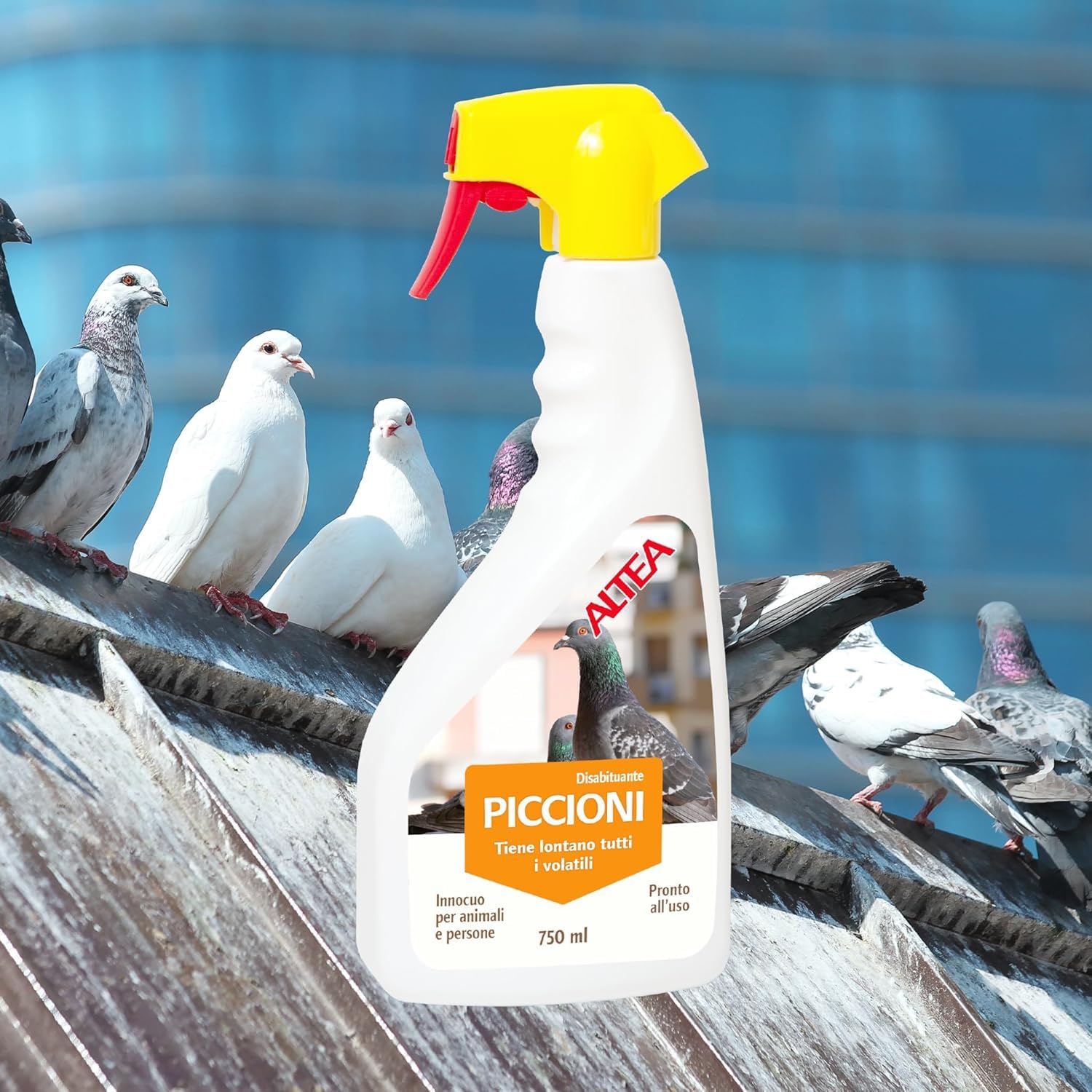 Altea Borne de pigeon, répulsif à pigeons longue durée, non nocif pour les humains et les animaux domestiques, éloigne les pigeons et les mouettes, spray prêt à l'emploi 750 ml
