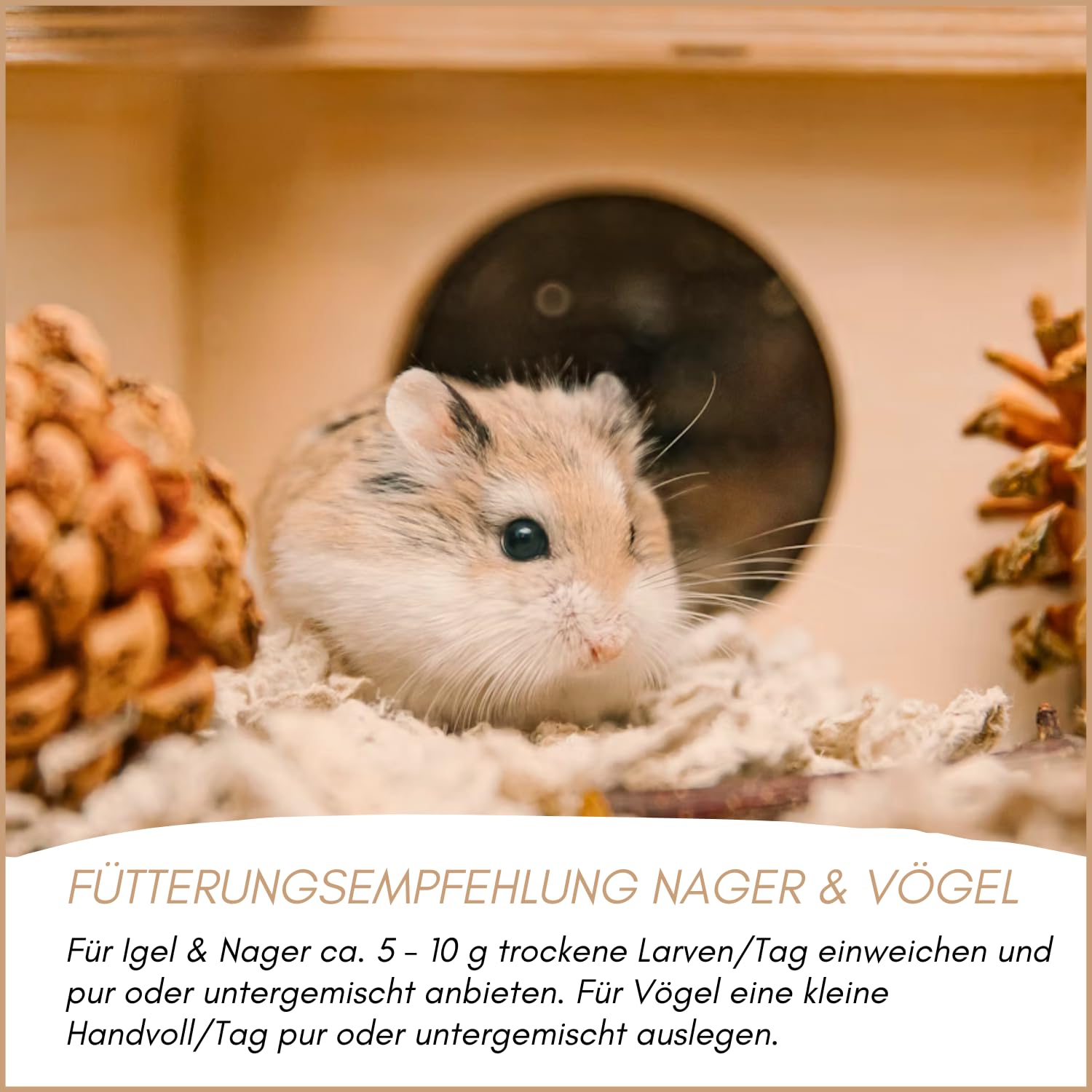 Supravit Mehlwürmer getrocknet 10kg (entspricht 65 Liter) | getrocknete Mehlwürmer für Wildvögel, Igel, Nager & Reptilien als Vogelfutter & Igelfutter…