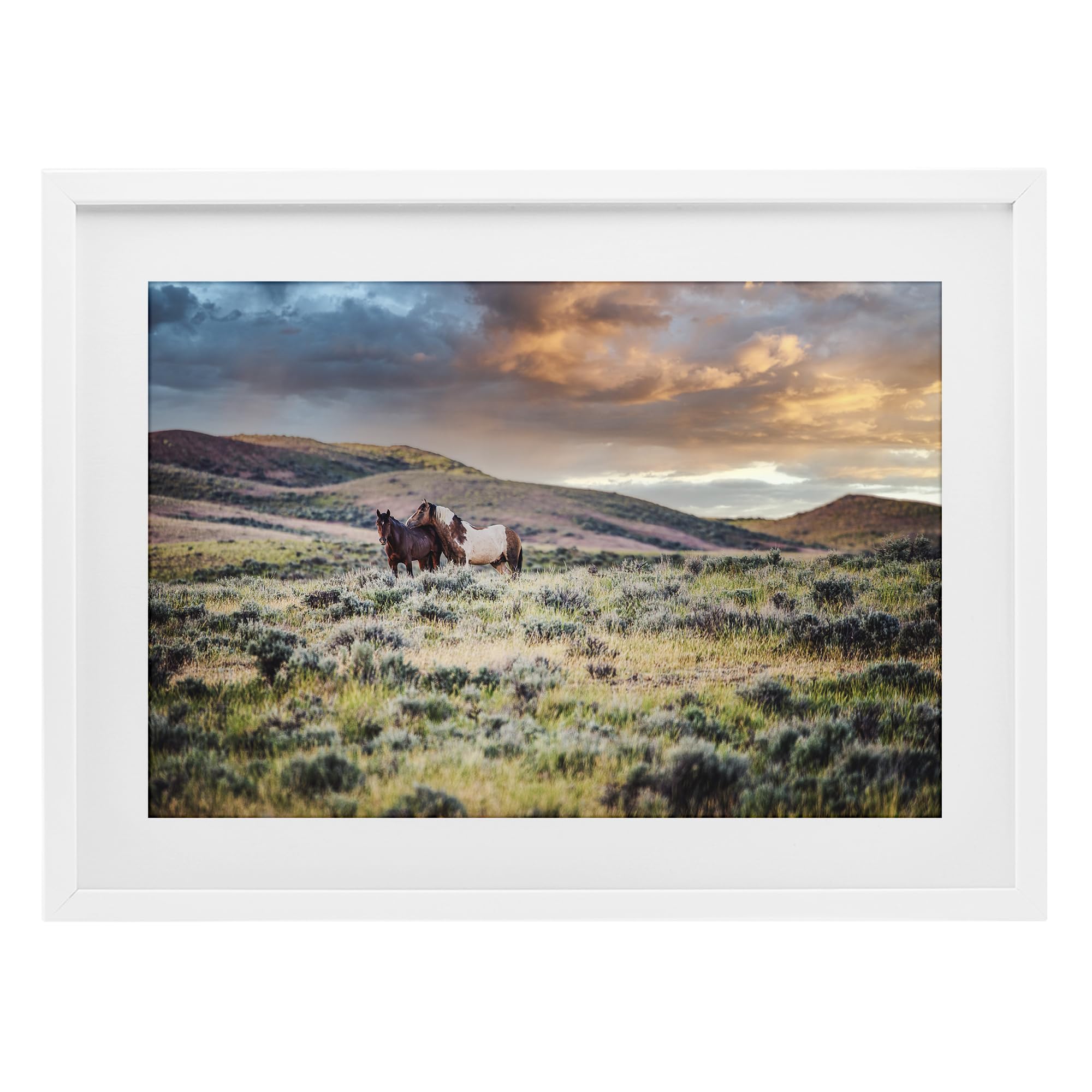 Stupell Industries 'Stay Close Horses', Framed Print Under Glass, White, 23 x 17 Inches, Easy to Hang and Sturdy, Made in USA, by Tim West