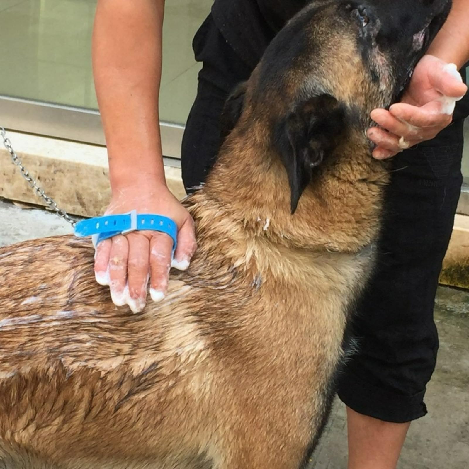 Cepillo de baño 2 en 1 para mascotas con rociador de ducha, nodos de masaje de silicona flexible, herramienta de lavado de mascotas con manguera universal y control de flujo de agua para perros y