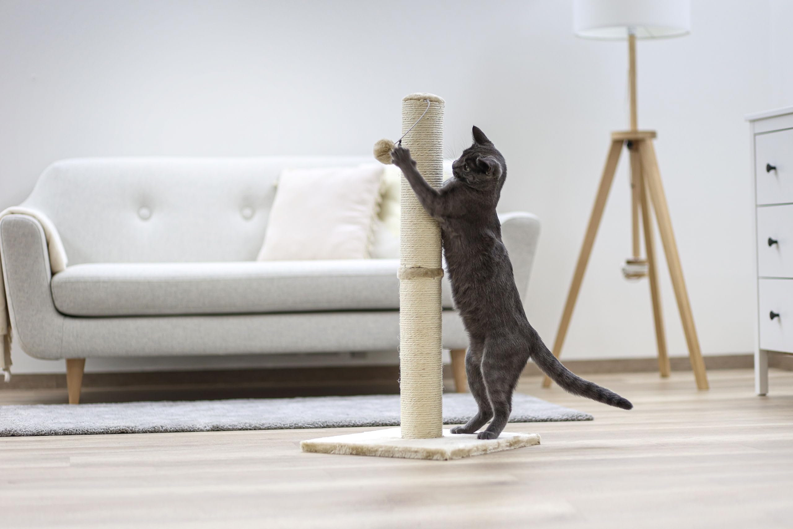 Kerbl Pet Poste rascador Opal Maxi, Color Beige, sisal Natural, 38x38x78 cm, para Gatos pequeños y medianos, con Cuerda de sisal, para el Cuidado de Las Garras, con Bola de Peluche