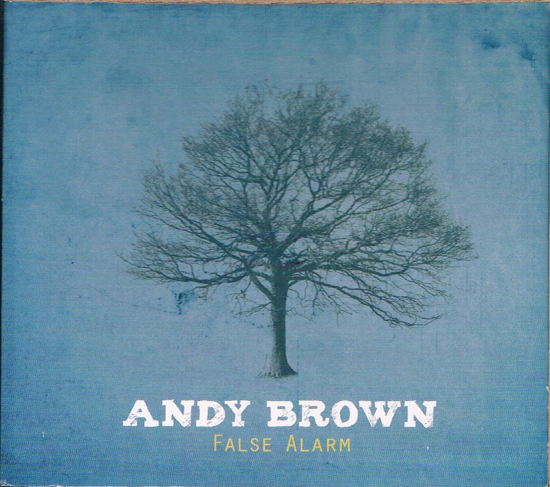 False Alarm [Audio CD] Andy Brown