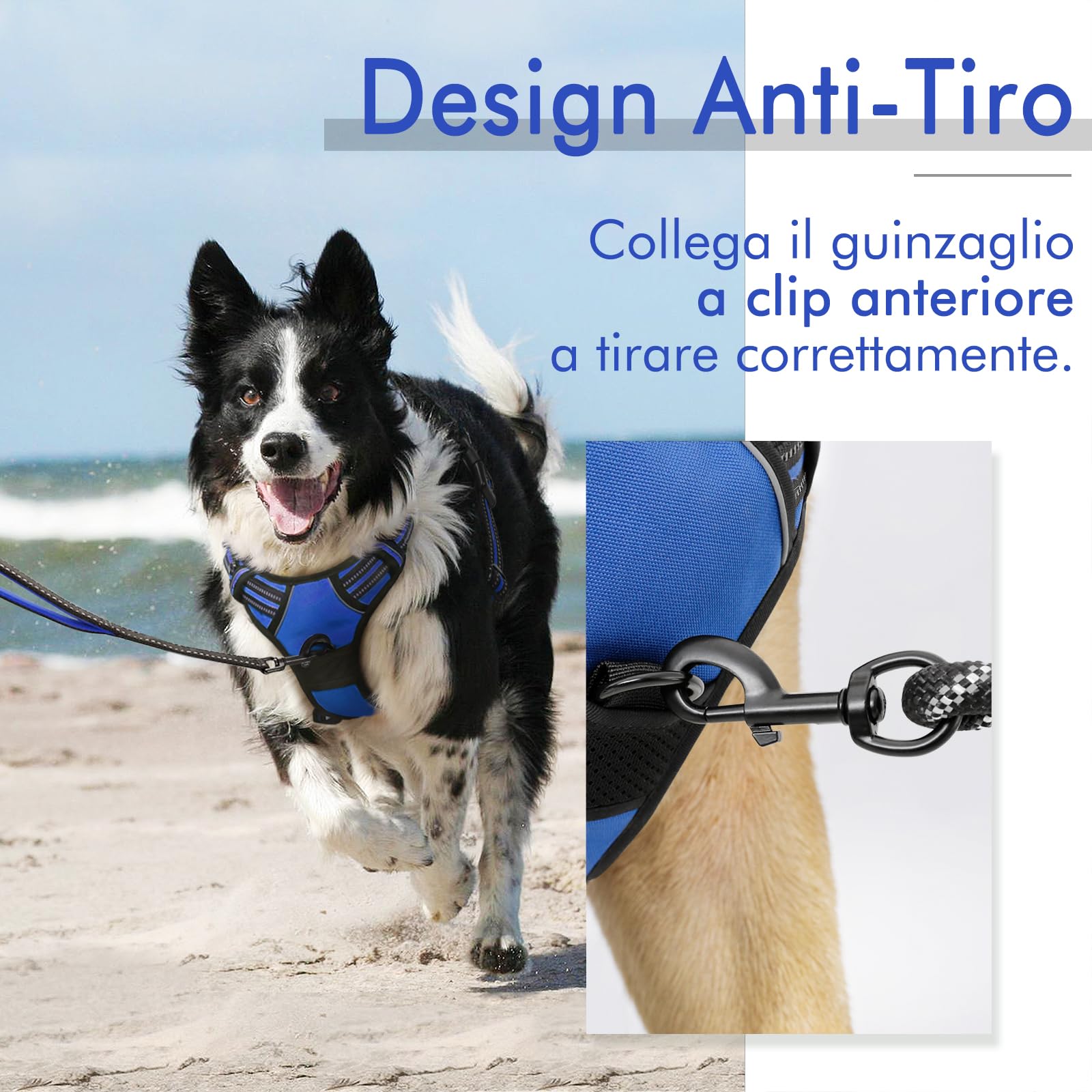 rabbitgoo Pettorina Cane Taglia Piccola, Pettorina Cane ad h Regolabile con 2 Ganci in Metallo, Imbracatura per Cani Anti Tiro Riflettente, Imbracatura Traspirante per Addestramento, Blu, S
