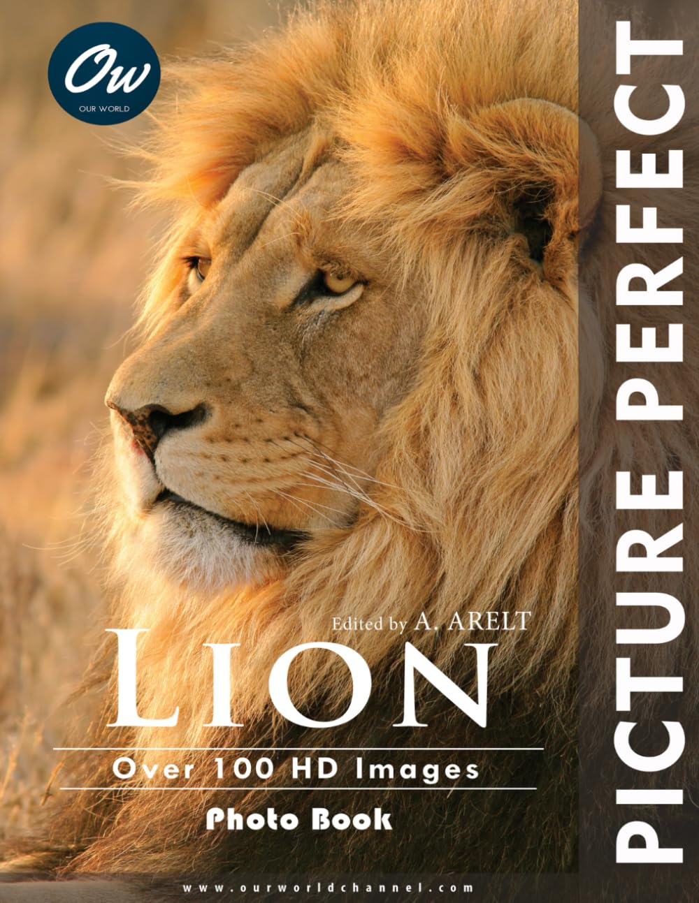 Lion: Picture Perfect Photo Book