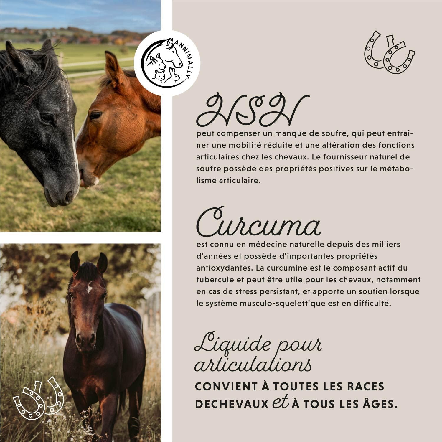 Annimally Liquide pour Articulation Cheval 1000 ML avec Griffe du Diable, Glucosamine et MSM – Renforcement Articulaire