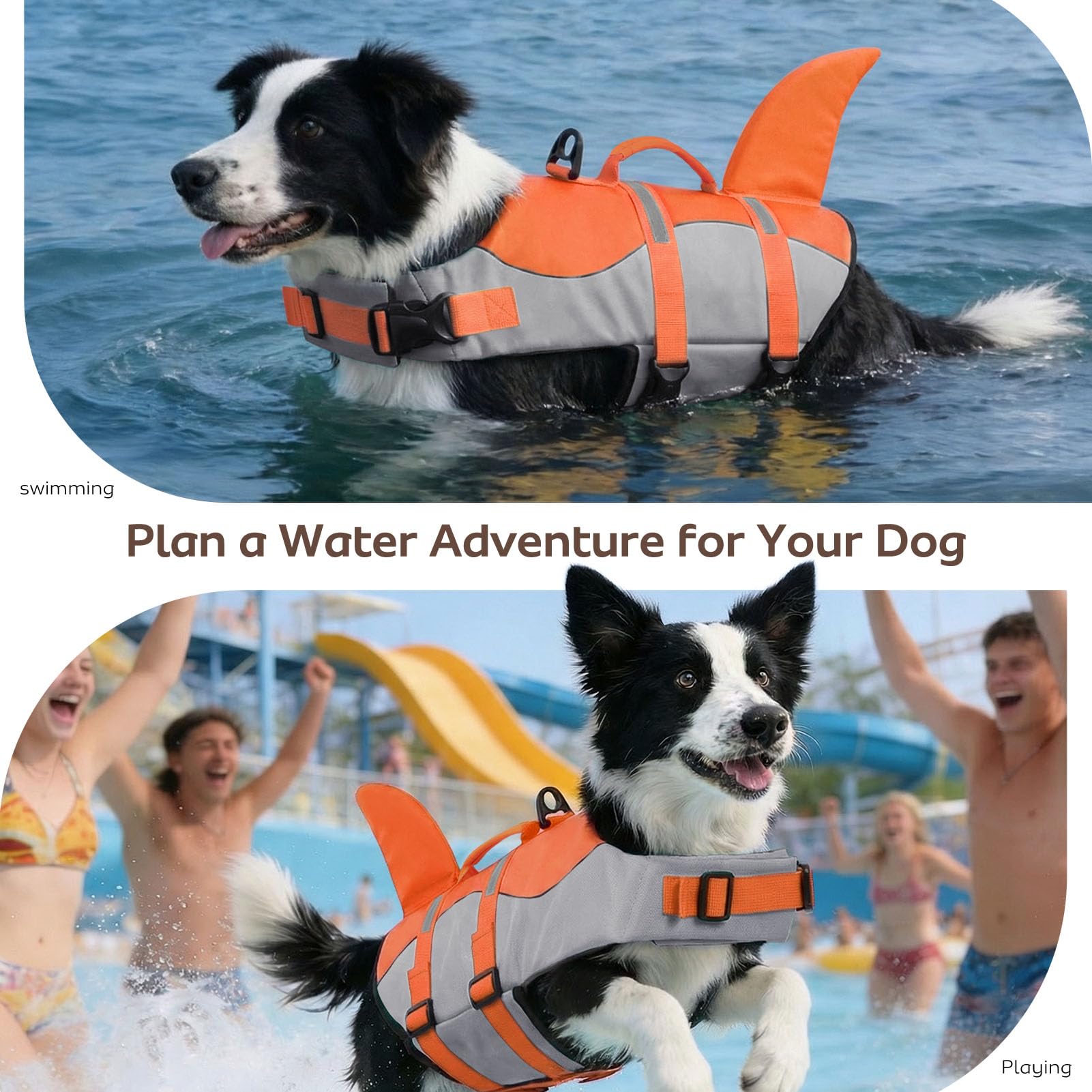 CITÉTOILE Perro Chaleco Salvavidas Chaqueta Mascotas Salvavidas Reflexivo para Piscina, Playa, Canotaje, para Perros pequeños, medianos, Grandes Que entrenan con manija de Rescate Naranja S