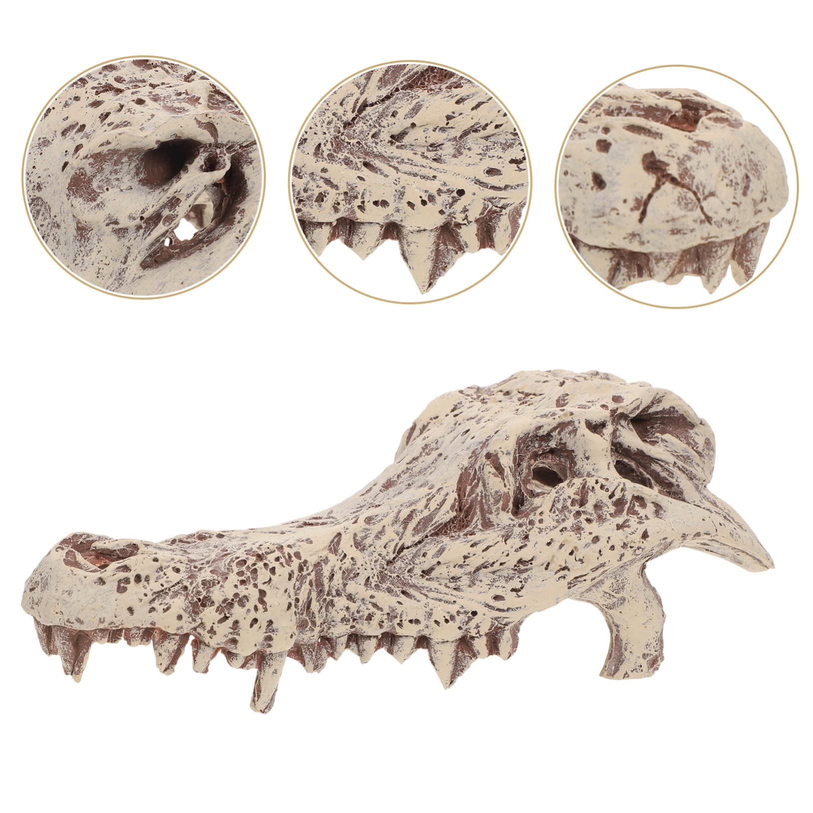 Décoration D’Aquarium Crâne en Résine Blanc pour Reptiles et Tortues | Halloween, Cachette et Escalade, Aspect pour Terrarium, Modèle Unique au Rendu Vivant