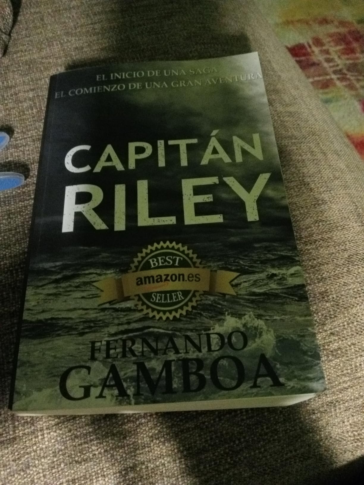 Capitan Riley: 1 (Las aventuras del capitán Riley) : Gamboa, Fernando ...