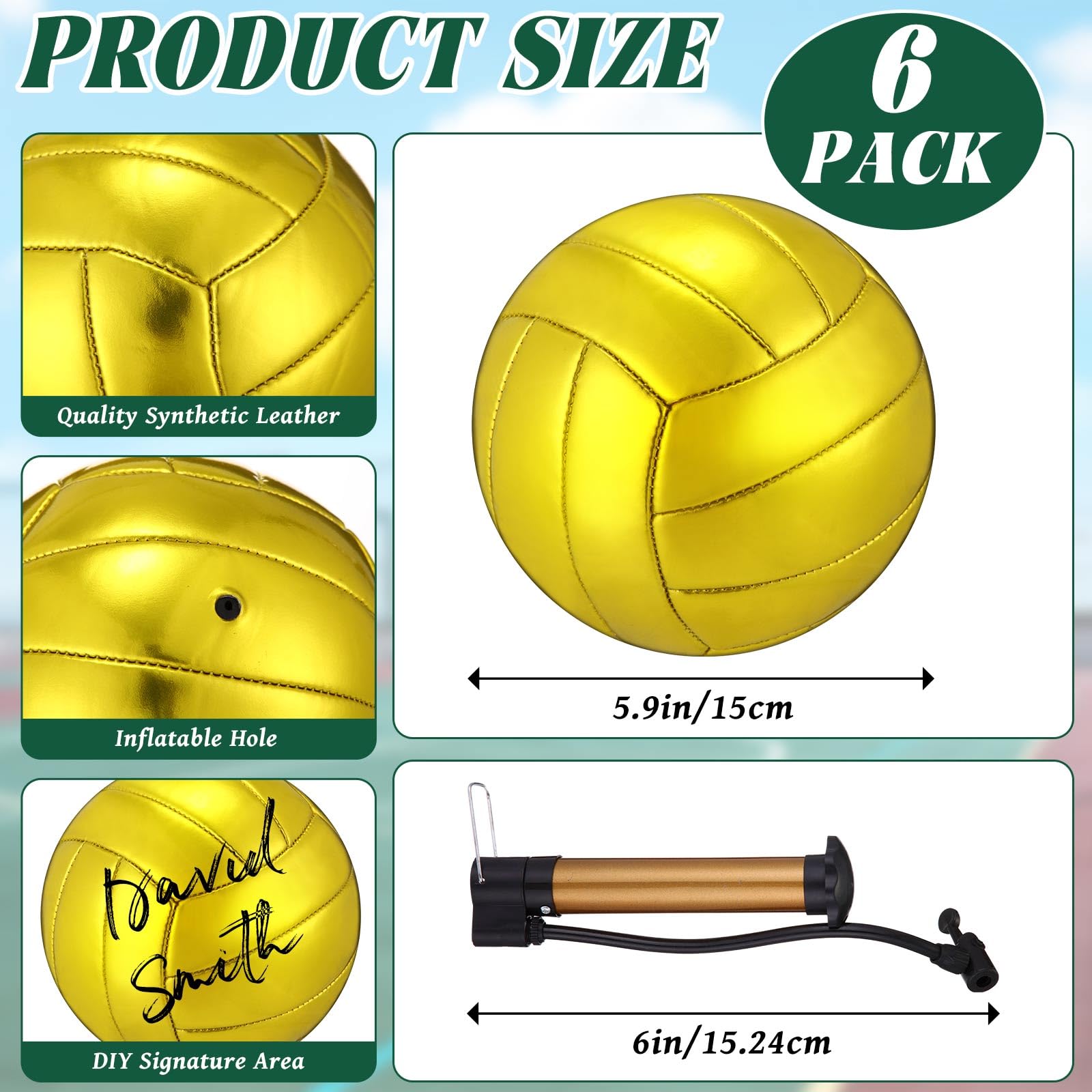 WinnerWhy Volleyball mit goldenem Autogramm, offizielle Größe 2, Mini-Trophäe, Volleyball, goldener Volleyball mit Luftpumpe, für Trophäen, Jahrestag, Schule, Uni, Coaching, Geschenk, Auszeichnungen,