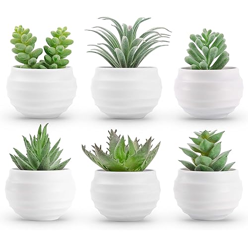 Der Rose 6 Packs Fake Succulents Plants Small Realistic Succulents Plants Artificial for Home Room Decor Indoor