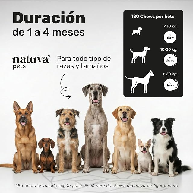 Foto 4 de 8 de Probiótico para Perros - Repara la Flora Intestinal y Protege el Sistema Inmunológico