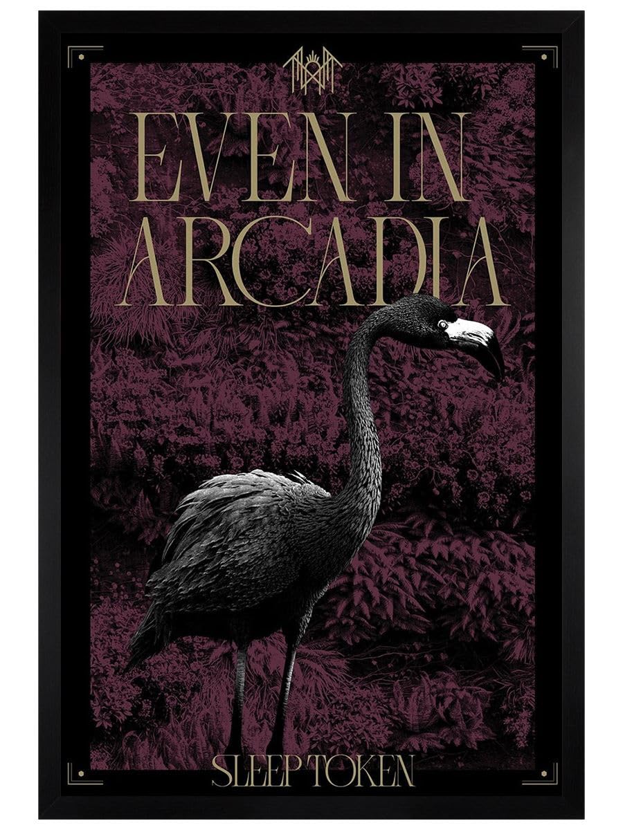 Grindstore Black Sleep Token (Arcadia) Maxi Poster - Wooden Framed - Framed Poster Print, Wall Decor/Art, Home Gift Idea, For Living Room, Bedroom, Home Or Office Display