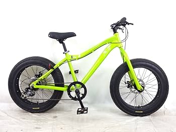 MTB X2 自転車 アルミボディ ディスクブレーキ 20インチ CANOVER マウンテンバイク MTB 自転車 26インチ 21段変速 アルミ